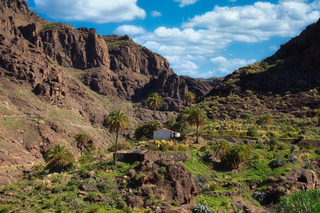 شقة مْبيسينداريو  في Dragonfly House Atlantico المظهر الخارجي الصورة